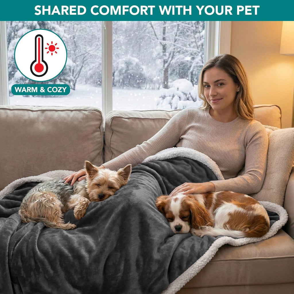 Waterproof Dog Blanket for Small Medium Dog Puppy Cat Throw for Couch Cover Leakproof Protection, Sherpa Fleece, Reversible Soft Washable 29X40 Charcoal Gray