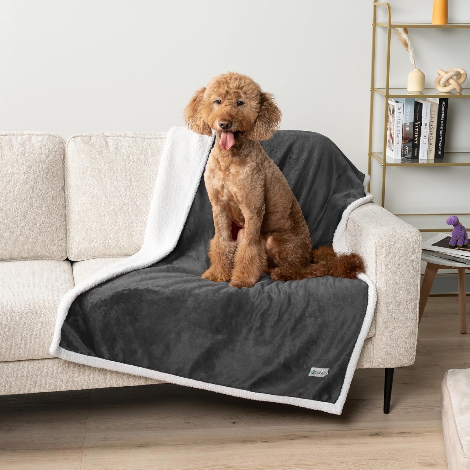 Waterproof Dog Blanket for Small Medium Dog Puppy Cat Throw for Couch Cover Leakproof Protection, Sherpa Fleece, Reversible Soft Washable 29X40 Charcoal Gray